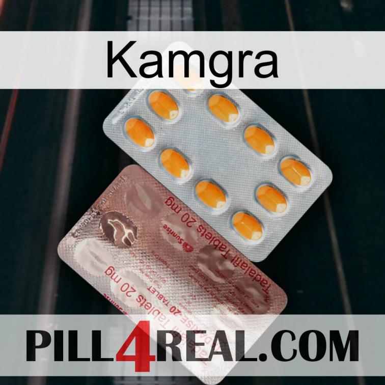Kamgra new13